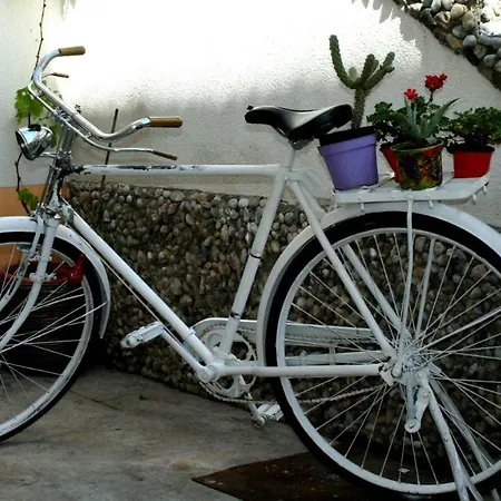 Guest house Downtown Tina Vodice